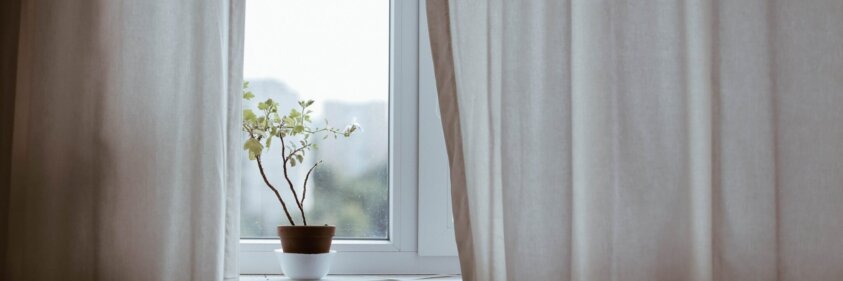 eduard-militaru-Q4PvX80itZ0-unsplash-crop